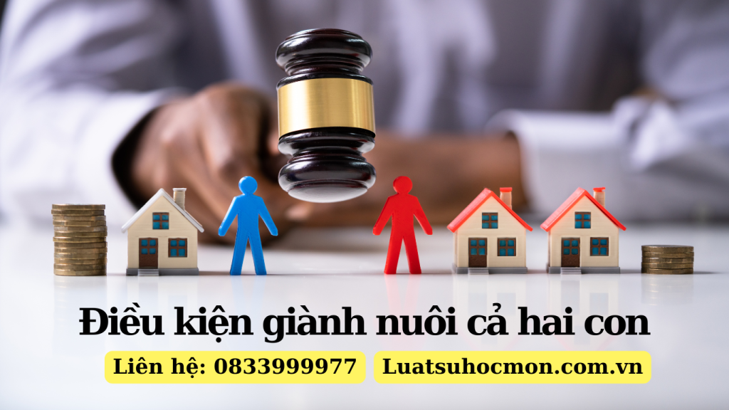 Điều kiện giành nuôi cả hai con