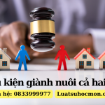 Điều kiện giành nuôi cả hai con – Ly hôn – Luật sư Hóc Môn